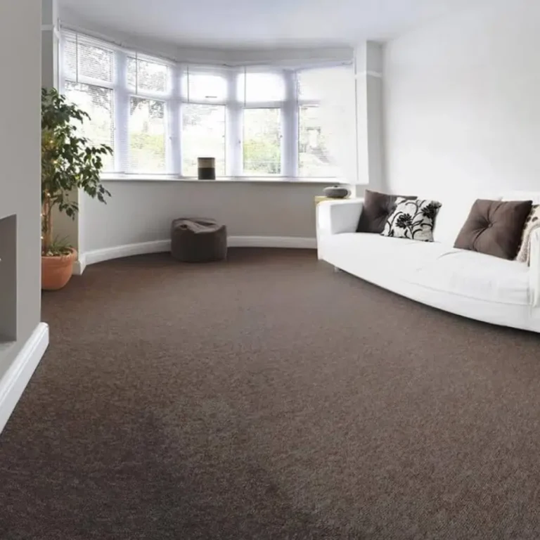 affordable carpet cleaning near me