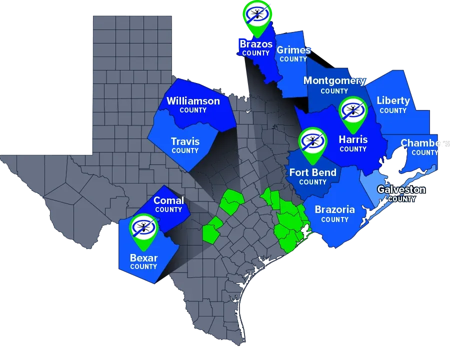 Gallery image 3 — mosquito control San Antonio