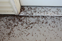 Gallery image 8 — commercial pest control San Antonio