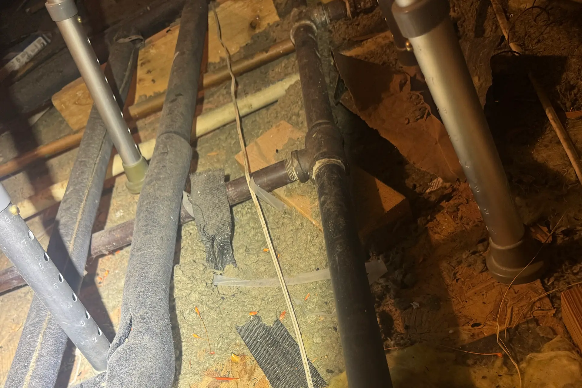 Gallery image 3 — commercial wildlife removal in Houston, TX