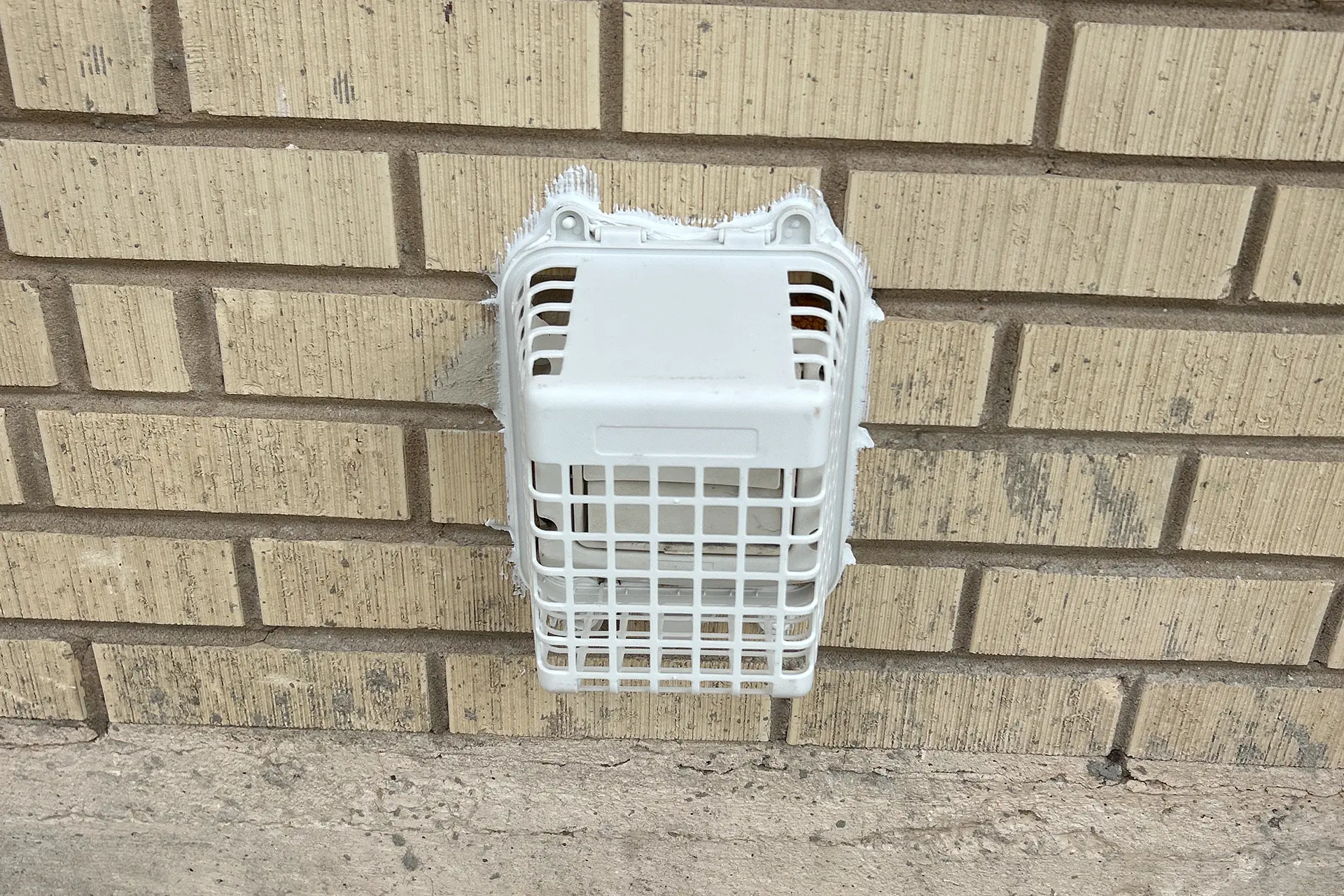 humane animal removal in San Antonio, TX