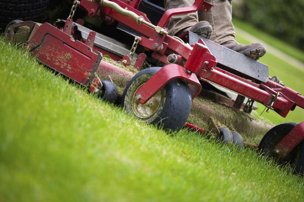 Gallery image 5 — best carpet cleaning San Antonio