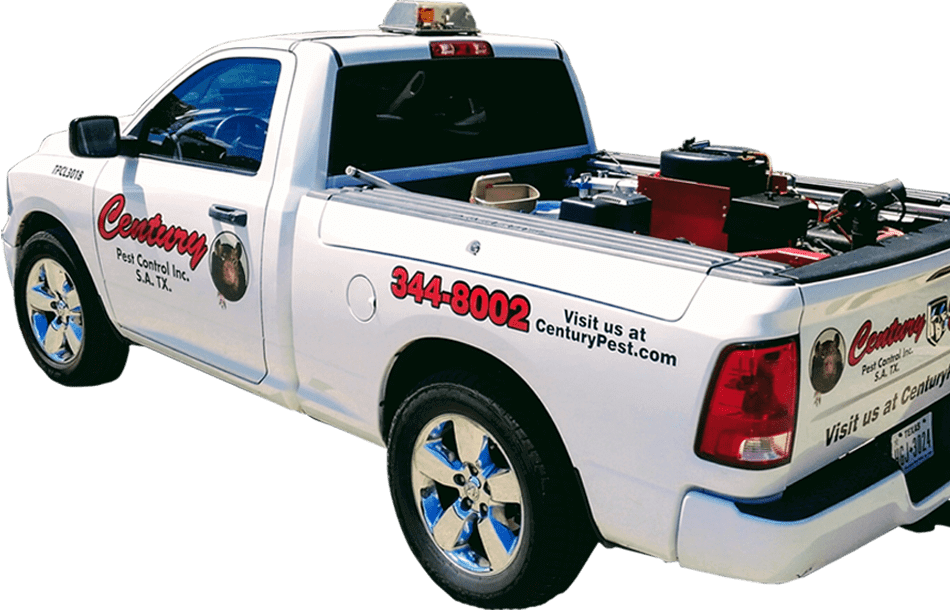 About commercial pest control San Antonio
