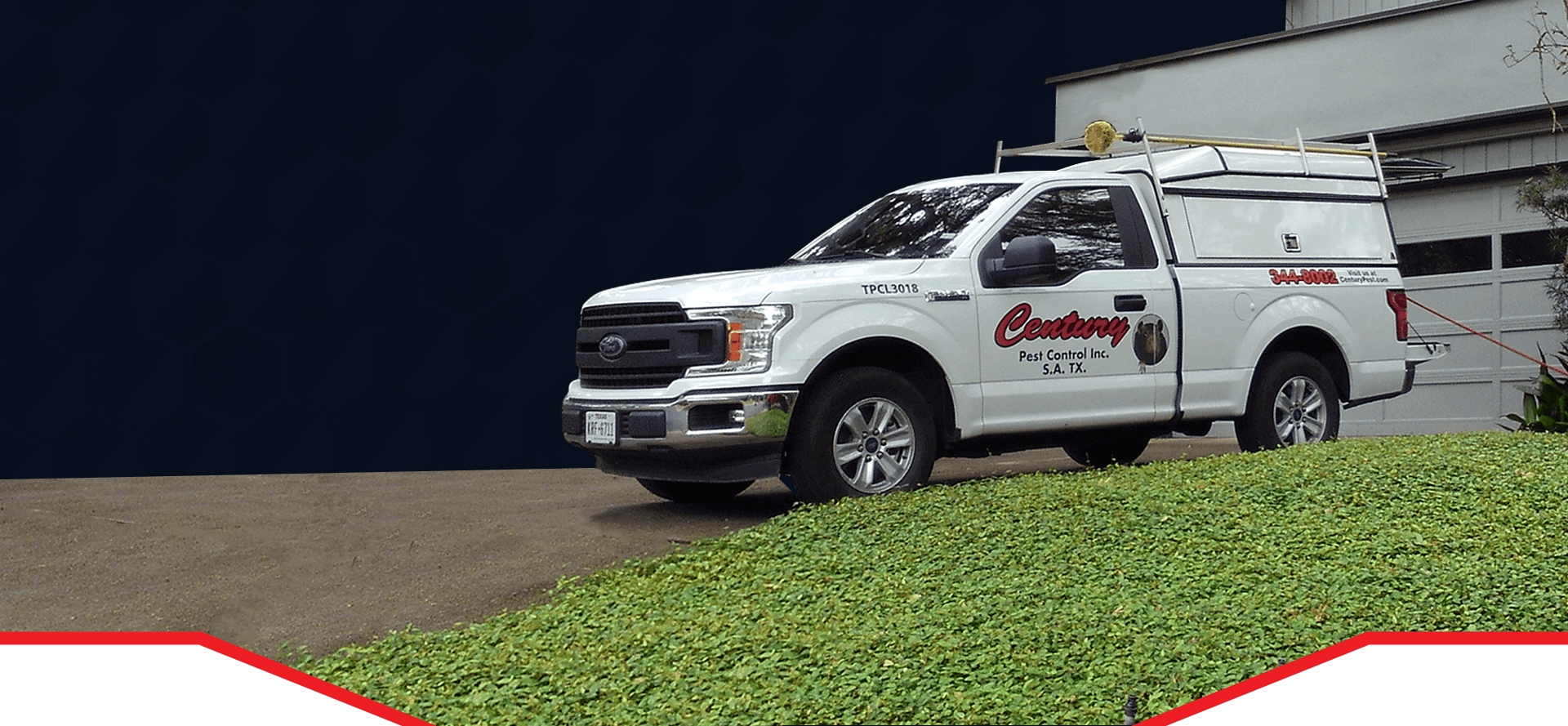 commercial pest control San Antonio