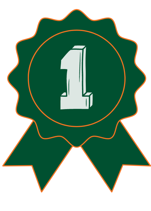 move-out cleaning in Doral