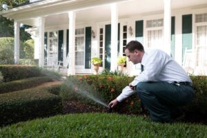About rodent control San Antonio