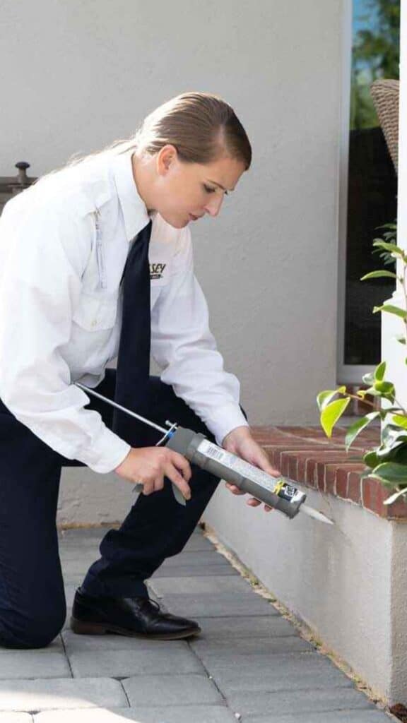 Gallery image 4 — free pest inspection Longwood