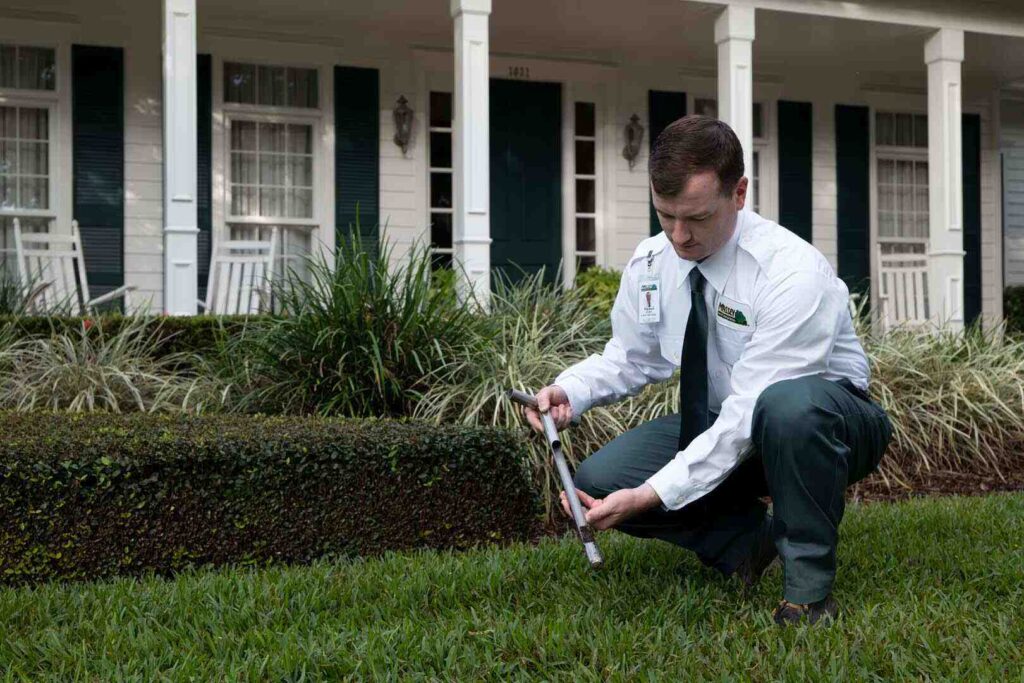 affordable pest control near me