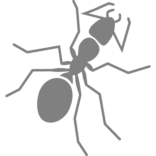 Gallery image 2 — fast pest exterminators San Antonio