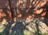 Gallery image 4 — flea control San Antonio