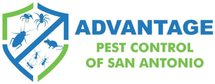 Gallery image 1 — flea control San Antonio