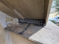 Gallery image 3 — flea control San Antonio