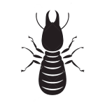 Gallery image 1 — local mosquito control Live Oak