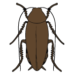 Gallery image 2 — local mosquito control Live Oak