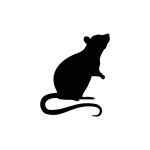 Gallery image 3 — local mosquito control Live Oak