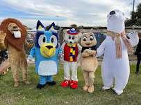 About local mosquito control Live Oak