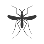 Gallery image 6 — local mosquito control Live Oak