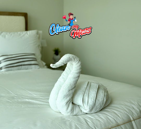 Gallery image 4 — spotless home cleaning Aventura