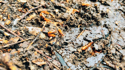 home pest control services Nappkn Pest and Home Services