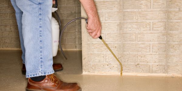 licensed pest control Nappkn Pest and Home Services