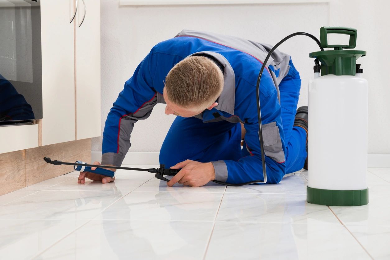 Gallery image 7 — home pest control services Nappkn Pest and Home Services