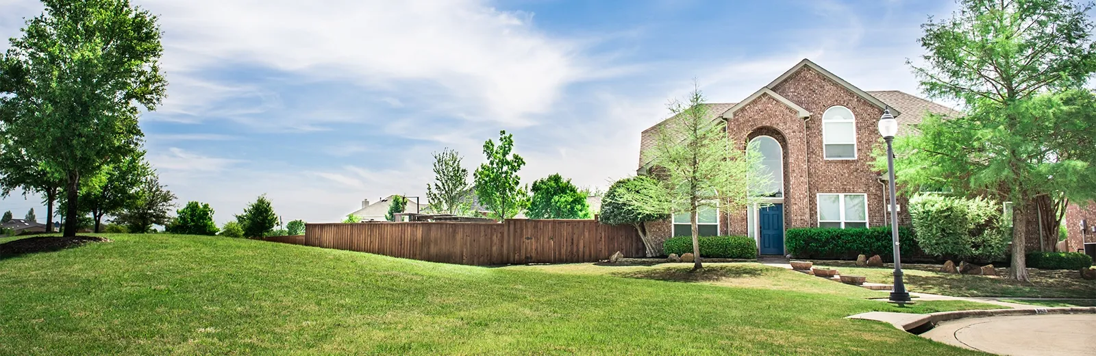 ant exterminator San Antonio