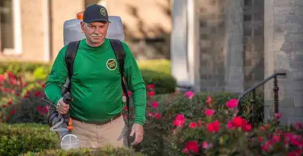 flea treatment for yard San Antonio