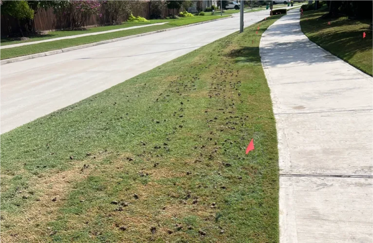 Gallery image 1 — affordable chimney cleaning Fort Worth