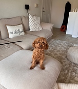 Gallery image 5 — cleaning services in Miami