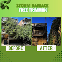 Gallery image 2 — reliable lawn care Chicago