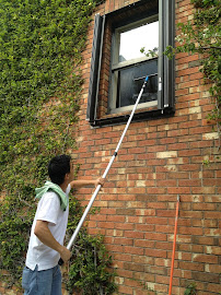 About reliable house cleaners North Bay Village