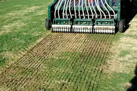 Gallery image 4 — lawn care service in Chicago