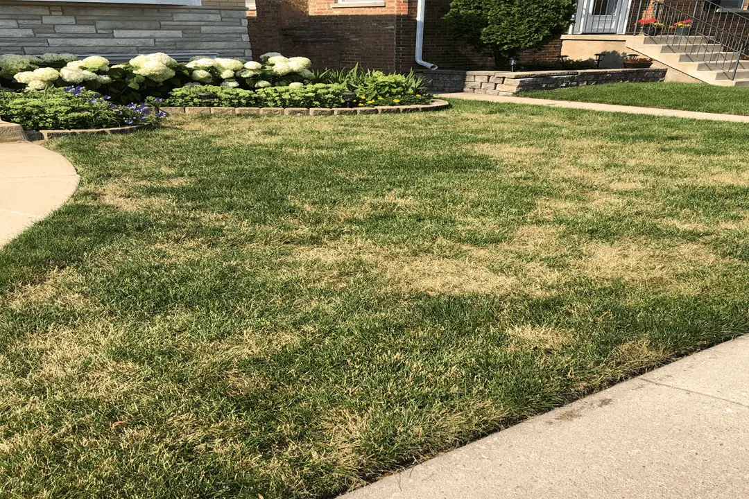 Gallery image 5 — lawn care service in Chicago