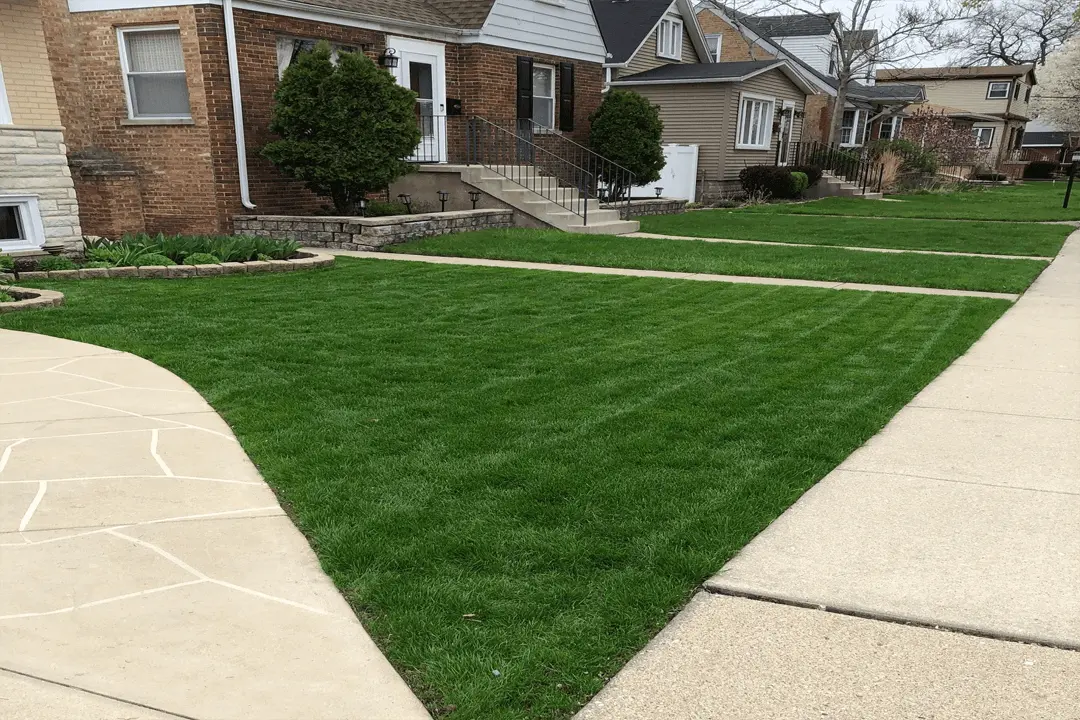 lawn fertilizing service Chicagoland