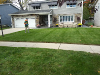 About lawn care service in Chicago