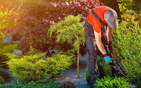 About lawn care Chicago
