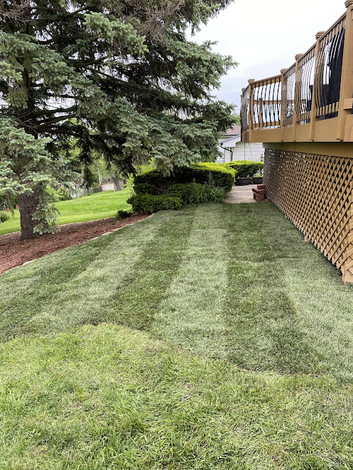 Gallery image 2 — weed control service near me