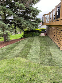 About weed control service near me