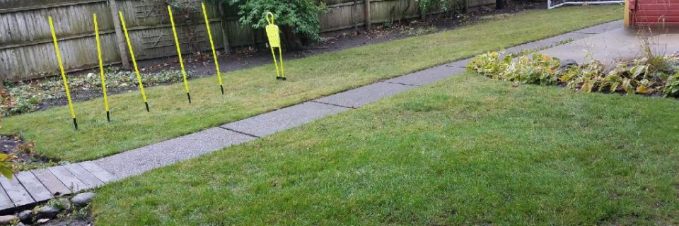 Gallery image 6 — spring cleanup service Chicago land area