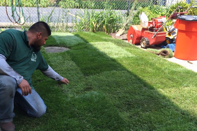 About spring cleanup service Chicago land area