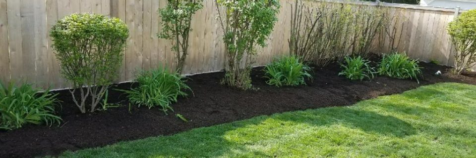 spring cleanup service Chicago land area