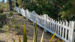 privacy fence installation Austin