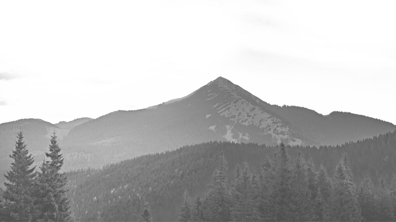 residential fencing contractor near me