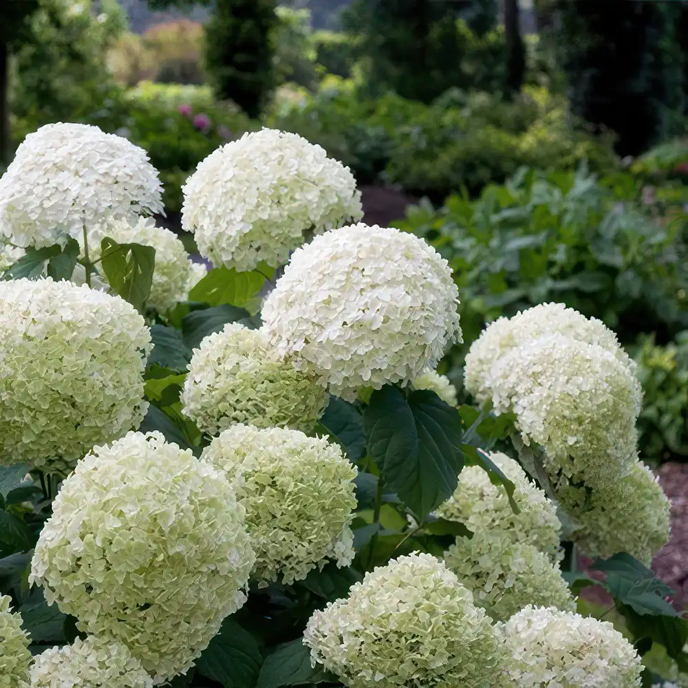 Gallery image 59 — patio installation near me