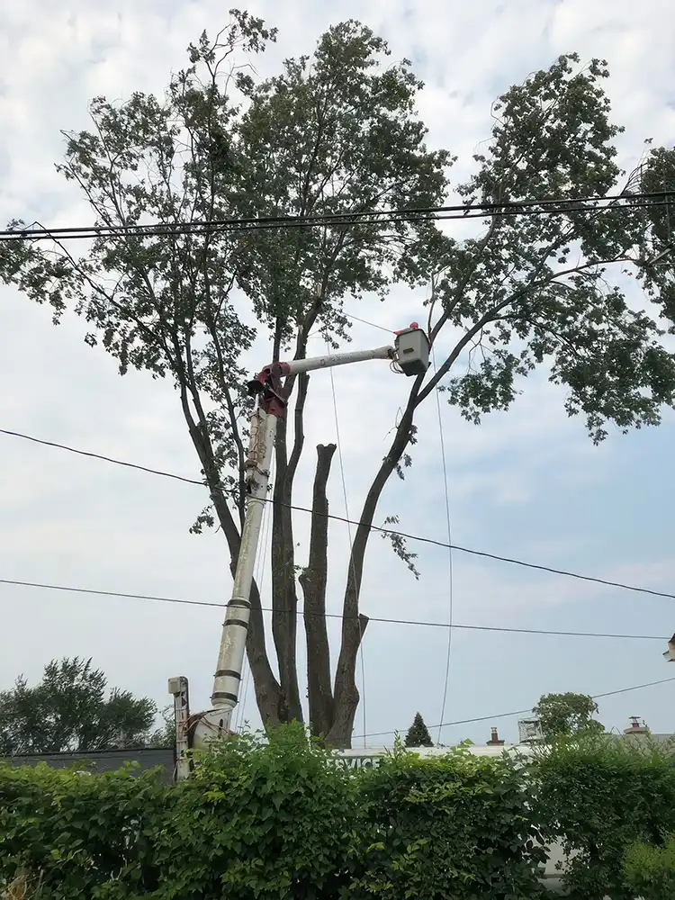 Gallery image 45 — patio installation near me