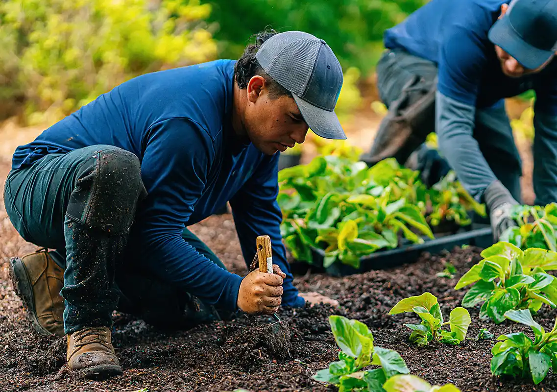 About patio installation near me