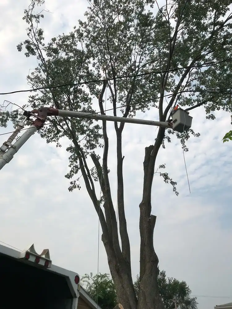 Gallery image 24 — patio installation near me