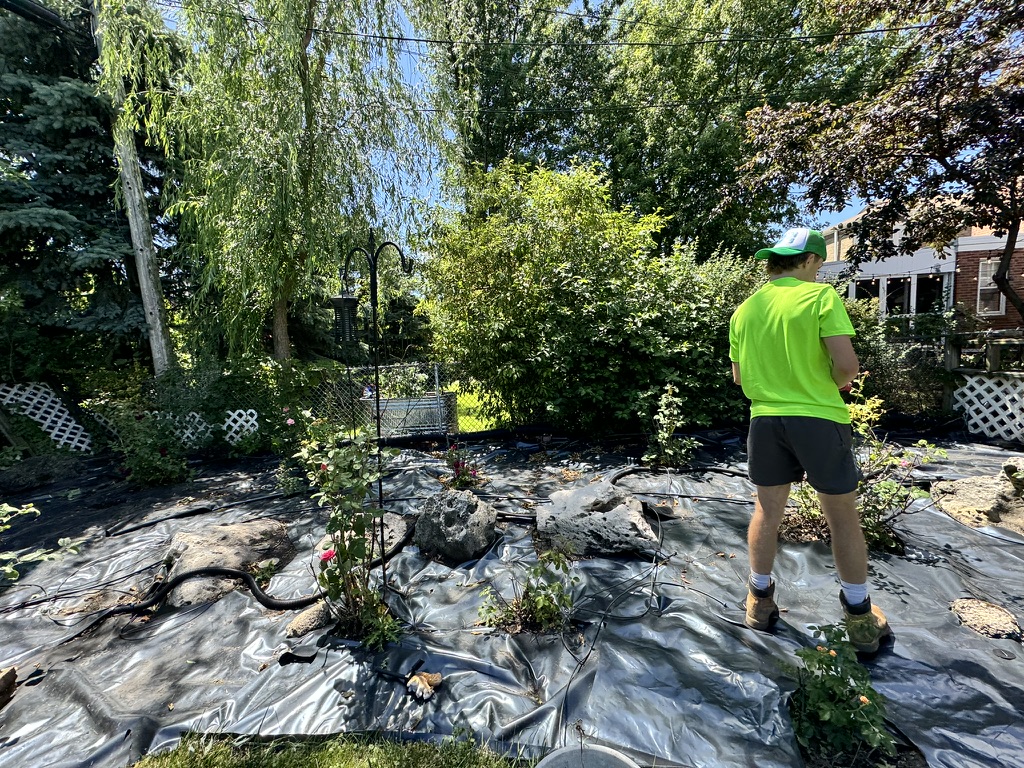 Gallery image 2 — lawn mowing service Chicago