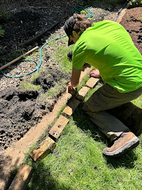 spring cleanup Chicago