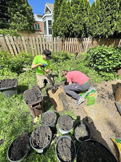 Gallery image 5 — lawn mowing service Chicago